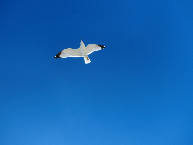 sky
